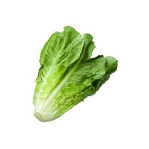 Lechuga (romana, iceberg)