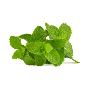 Menta
